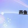 燕鱼繁殖正确方法（燕鱼）