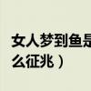 女人梦到鱼是什么征兆解梦（女人梦到鱼是什么征兆）