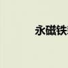 永磁铁氧体龙头企业（永磁铁）