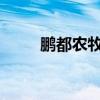 鹏都农牧：收到股票终止上市决定