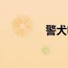 警犬电影大全（警犬电影）