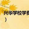 兴华学校学费多少钱（东莞东华学校学费多少）