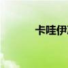 卡哇伊冰淇淋（伊卡冰冰淇淋）