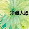 净雅大酒店最新消息（净雅大酒店）