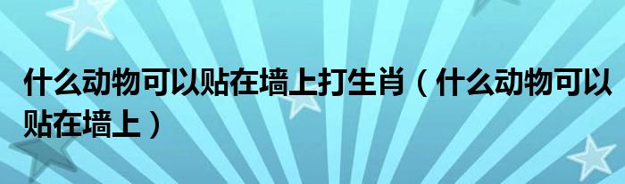 哪种动物可以贴在墙上（什么动物可以贴在墙上谜语）