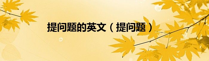 提问问题的英文单词（提问题的英文）