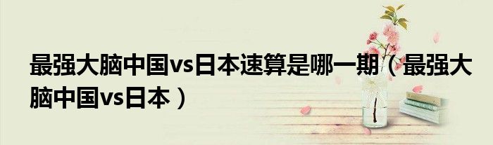 速算大神陈冉冉vs日本选手（中国选手跟日本选手的最强大脑pk）