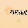 芍药花期是几月到几月（芍药花期）