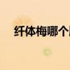 纤体梅哪个牌子正规（纤体梅能减肥吗）