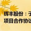 辉丰股份：子公司签订绿色矿山氢能矿区示范项目合作协议