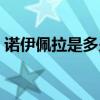 诺伊佩拉是多少版本出来的（诺伊佩拉门票）