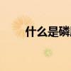 什么是磷肥钾肥氮肥（什么是磷肥）