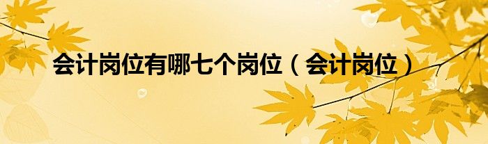 会计岗位有哪些要求（会计岗位有哪七个岗位）