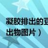 凝胶排出的豆腐渣是什么东西（银离子凝胶排出物图片）