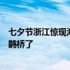 七夕节浙江惊现海市蜃楼：挖掘机在空中挖云朵！网友：没鹊桥了