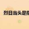 烈日当头是指什么生肖（烈日当头的意思）