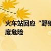 火车站回应“野猪乱窜撞破玻璃” 博主：六边形野生动物极度危险