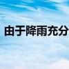 由于降雨充分 伊拉克小麦产量同比增长21%