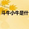 斗牛小牛是什么牌型（斗牛五小牛是什么牌）
