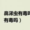 鼻涕虫有毒吗?鼻涕虫的用途是什么?（鼻涕虫有毒吗）