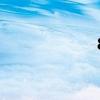 8月12日涨停分析