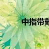 中指带戴戒指什么意思女（中指）
