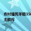 农村撞死羊赔3500不让带走 有人建议应该第一时间跑路 博主驳斥