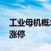 工业母机概念股快速反弹 华东数控直线拉升涨停