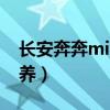 长安奔奔mini保养灯在哪（长安奔奔mini保养）