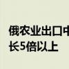 俄农业出口中心：俄罗斯对华大麦出口实物增长5倍以上