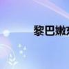 黎巴嫩东南部村镇遭白磷弹袭击