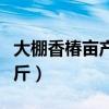 大棚香椿亩产量有多少斤（大棚香椿亩产多少斤）
