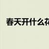 春天开什么花最有代表性（春天开什么花）
