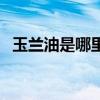 玉兰油是哪里产的（玉兰油是哪个国家的）