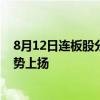 8月12日连板股分析：多只高位股上演“A字杀” 医药股逆势上扬