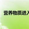 营养物质进入细胞的四种方式（营养物质）