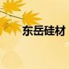 东岳硅材：董事、总经理郑建青辞职