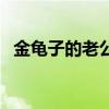 金龟子的老公不是罗京吗（金龟子的老公）