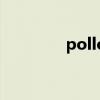 pollos中文意思（pollos）