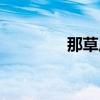 那草原歌曲视频（那草原）