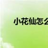 小花仙怎么做任务（小花仙怎么裸奔）