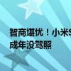 智商堪忧！小米SU7被偷 车主强行截停：人已抓到 16岁未成年没驾照