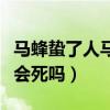 马蜂蛰了人马蜂会死吗视频（马蜂蛰了人马蜂会死吗）