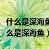 什么是深海鱼油其功效及作用和食用方法（什么是深海鱼）
