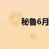 秘鲁6月份铜产量同比下降11.7%