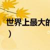 世界上最大的潜艇是哪个（世界上最大的潜艇）