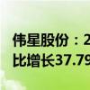伟星股份：2024年上半年净利润4.16亿元 同比增长37.79%