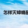 怎样灭蟑螂最有效果（怎样灭蟑螂最有效）
