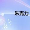 朱克力：多措并举促进服务消费