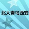 北大青鸟西安兆隆招聘（北大青鸟西安兆隆）
